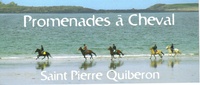 Bienvenue à cheval sur la Côte Sauvage de la Presqu'île de Quiberon